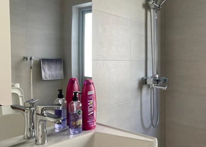 公寓 New Bazaar Terrace *