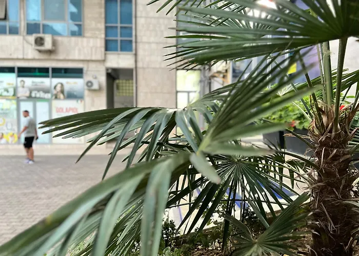 New Bazaar Terrace Apartment Tirana